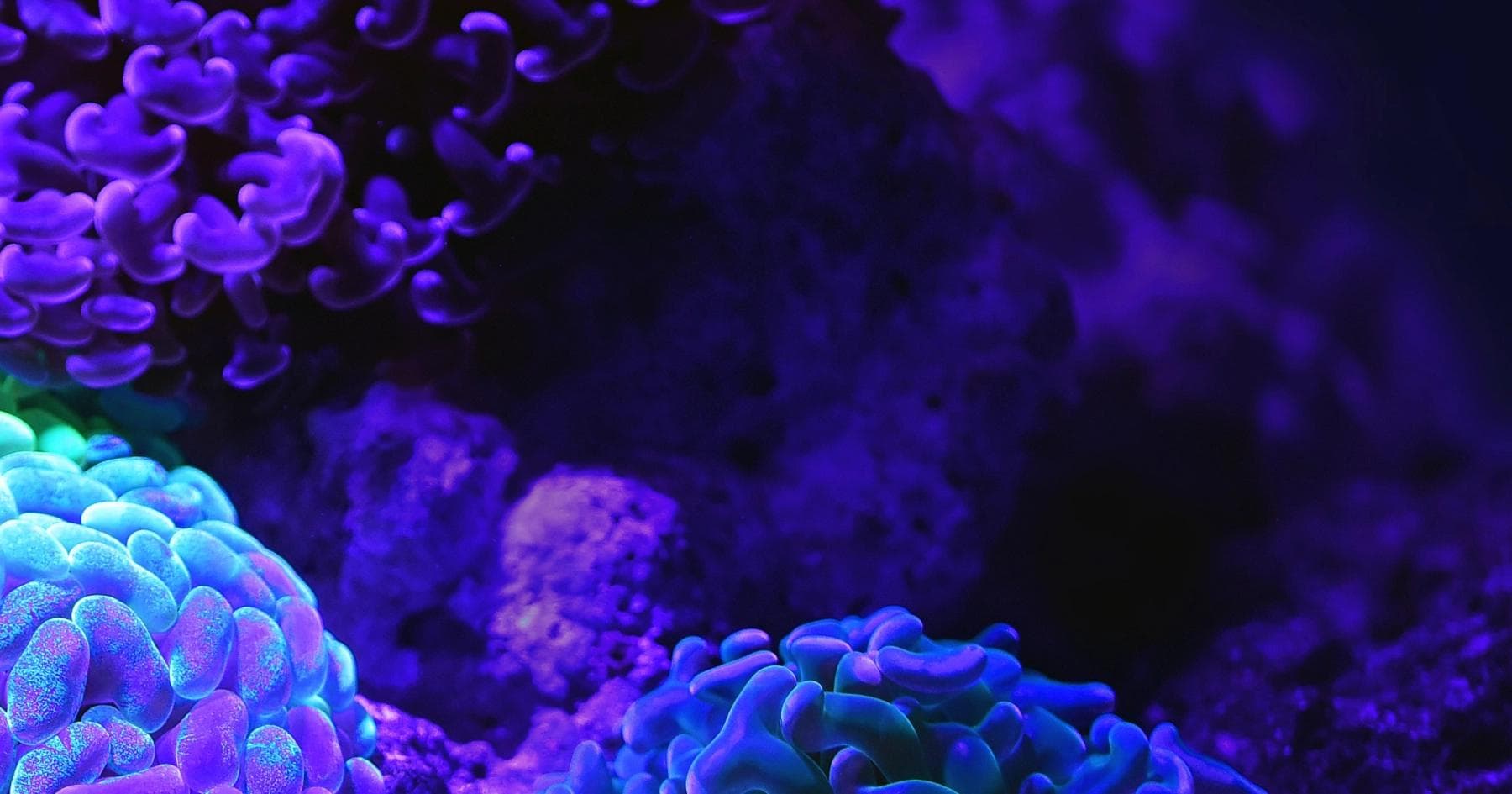 Blog article hero image