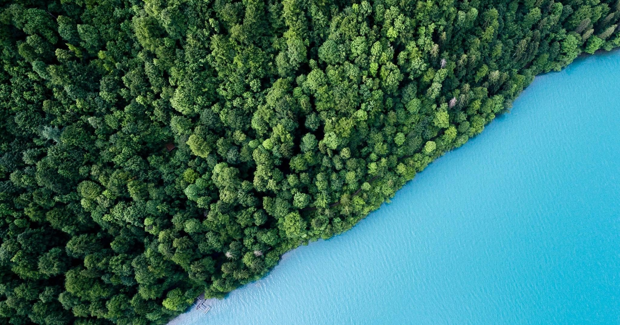 Blog article hero image